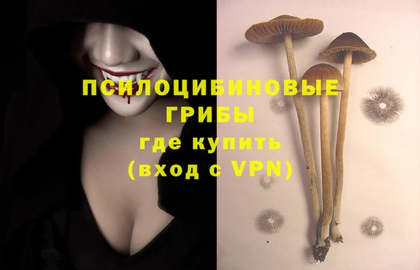 твердый Балахна
